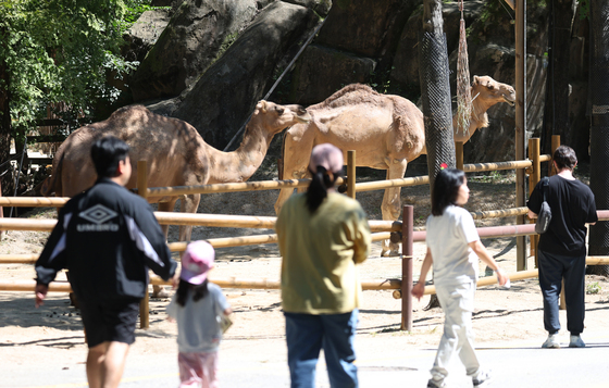 [오늘의 날씨] 울산(17일, 목)…해안 강한 바람·낮 최고 26도