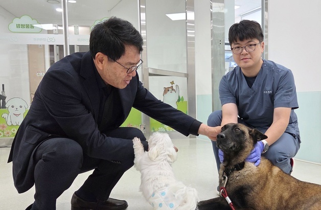 "은퇴 봉사견에게 새 가족을"…동물보호의 날 앞두고 따뜻한 동행