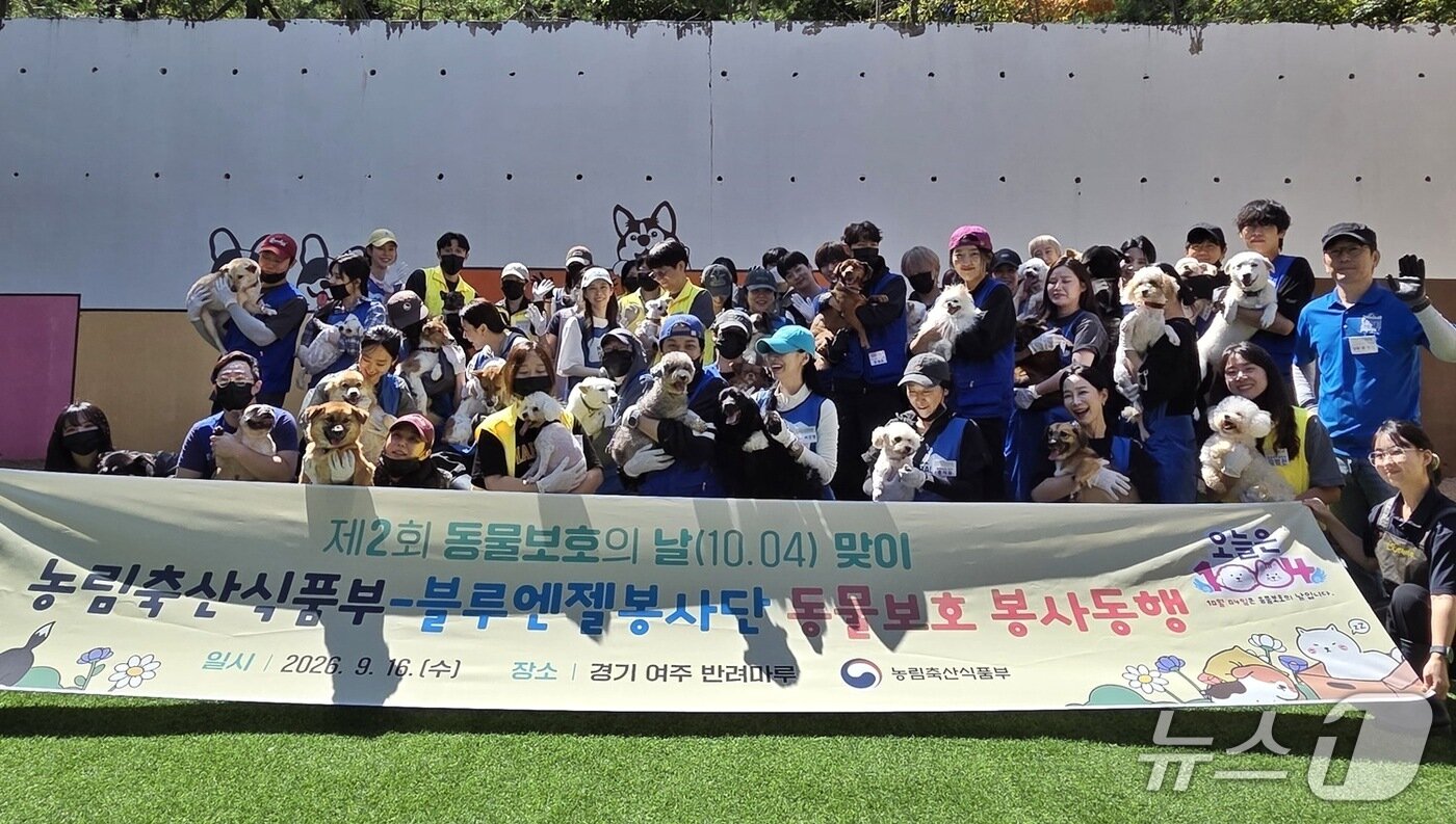 본문 이미지 - 블루엔젤봉사단과 농림축산식품부 직원들이 경기 여주 반려마루에서 봉사 후 보호견들과 기념 사진을 찍고 있다. ⓒ 뉴스1 한송아 기자