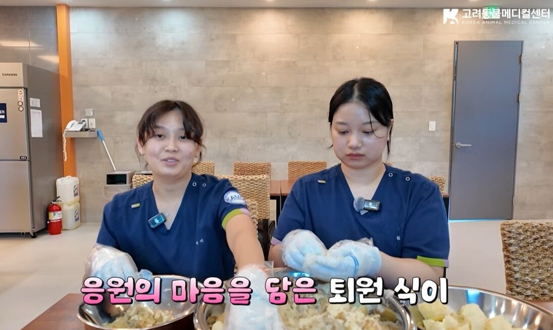 본문 이미지 - 하레의 퇴원 식이를 만들고 있는 동물보건사들(유튜브 갈무리) ⓒ 뉴스1