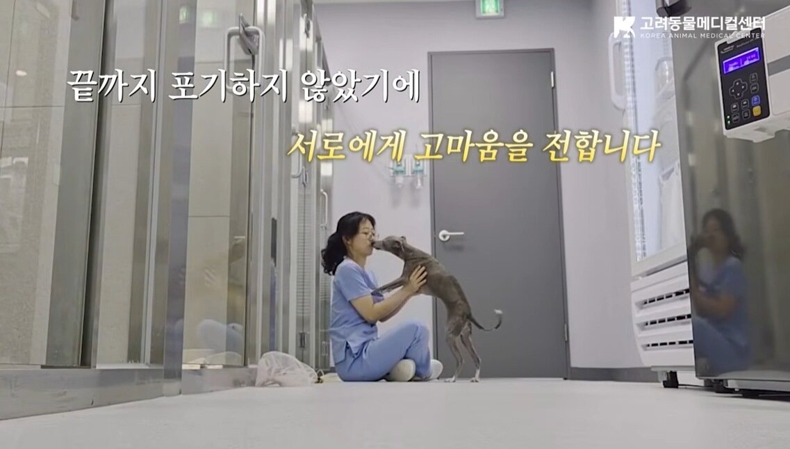 본문 이미지 - 박소영 원장과 하레(유튜브 갈무리) ⓒ 뉴스1