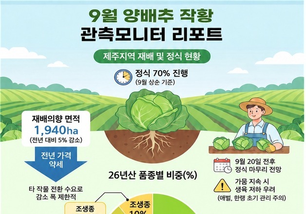 올해 제주산 양배추 재배면적 5% 줄어…브로콜리는 지난해 수준