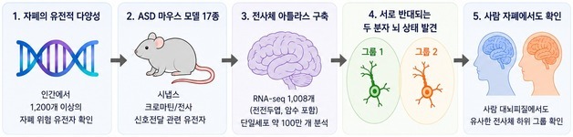 1200개 넘는 자폐 원인 유전자…'두 갈래 분자 지도'로 풀었다