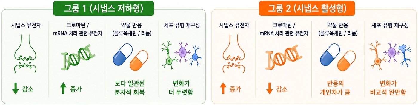 본문 이미지 - (과기정통부 제공)