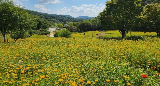 [오늘의 날씨] 충북·세종(18일, 금)…낮 기온 24~28도 분포
