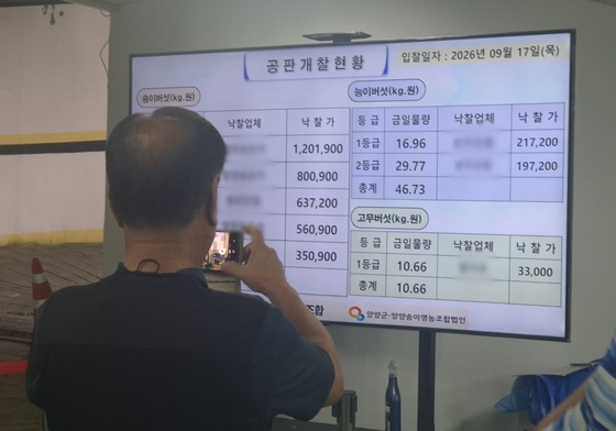 '올해 양양송이 얼마?'…첫 공판 결과 담는 시민들
