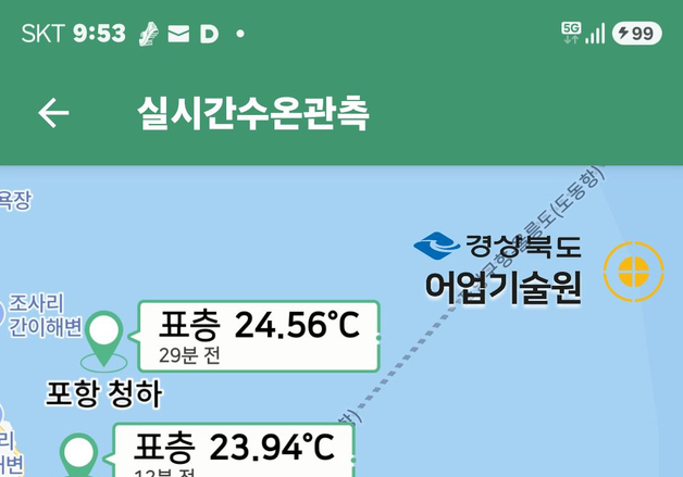 '307만마리 폐사' 포항 앞바다 고수온 특보 45일 만에 해제