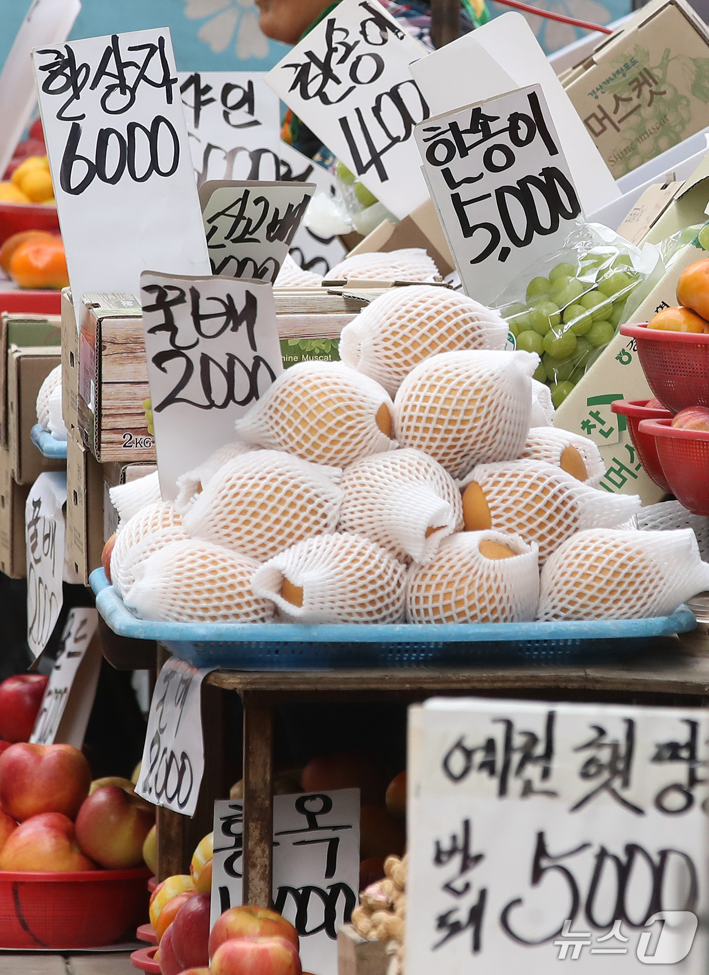 (대구=뉴스1) 공정식 기자 = 추석 연휴가 엿새 앞으로 다가온 18일 오후 대구 중구 서문시장 과일 노점에 손으로 쓴 가격표가 붙어 있다. 2026.9.18/뉴스1