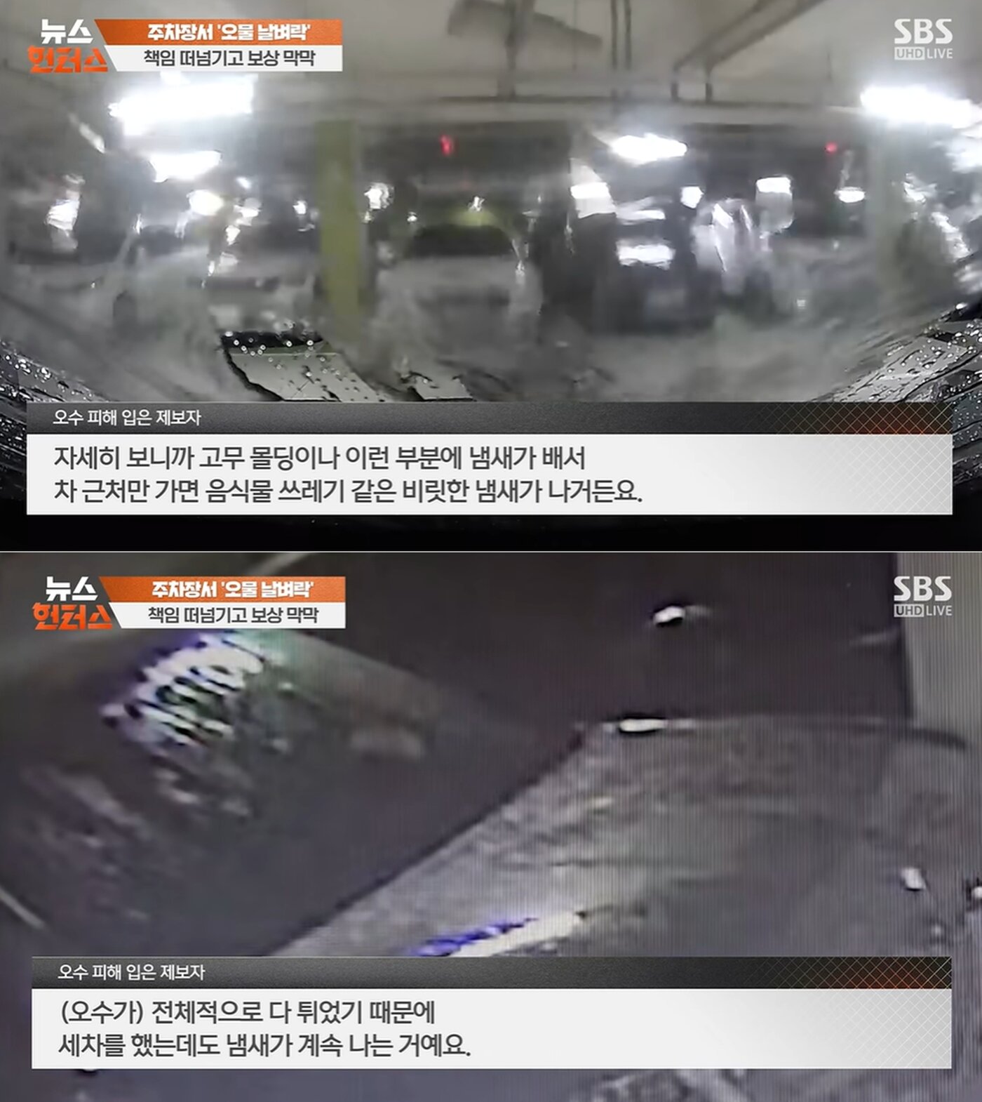 본문 이미지 - SBS '뉴스헌터스'