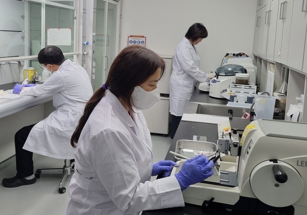 "길고양이 학대" 경찰 신고, 부검 결과 '범백'…주변 의심 줄였다