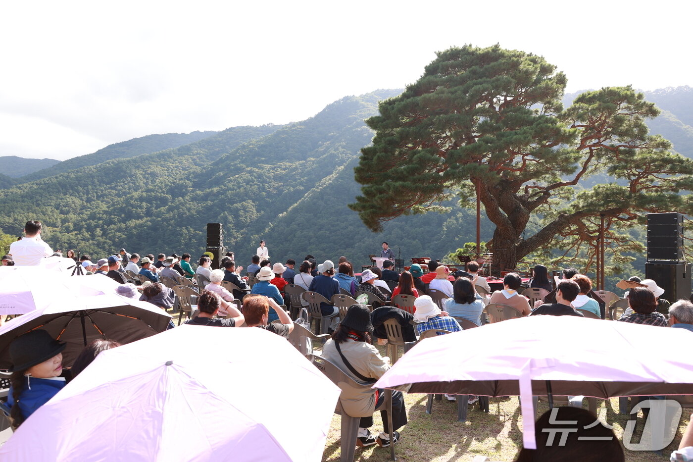 본문 이미지 - 19일 강원 영월군 산솔면에서 솔고개 소나무 축제가 열리고 있다. (영월군 제공. 재판매 및 DB금지) 2026.9.19/뉴스1