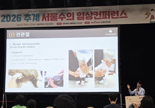 "집에선 분명 절뚝였는데"…병원 가면 멀쩡한 강아지, 이유는