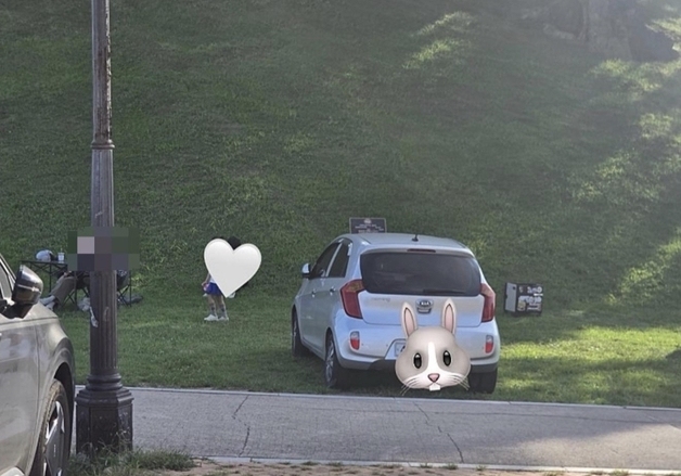 "공연 보겠다고"…경주 봉황대 잔디 위 '무개념 주차' 논란