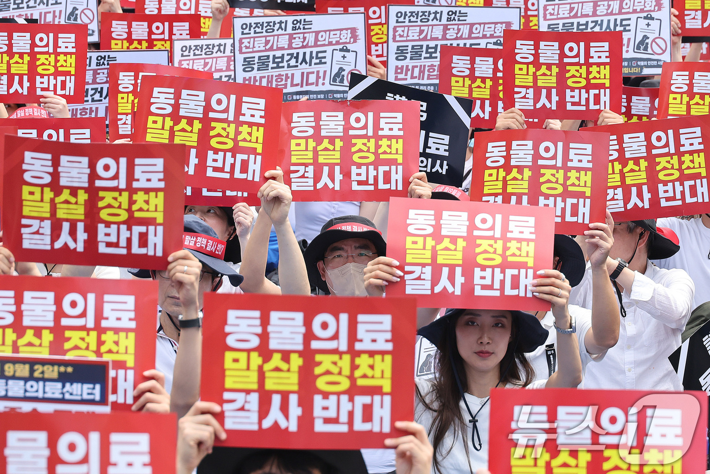 (서울=뉴스1) 신웅수 기자 = 대한수의사회 회원들이 2일 서울 여의도 국회의사당 앞에서 열린 수의사법 개정안 반대 투쟁대회에서 구호를 외치고 있다. 2026.9.2/뉴스1