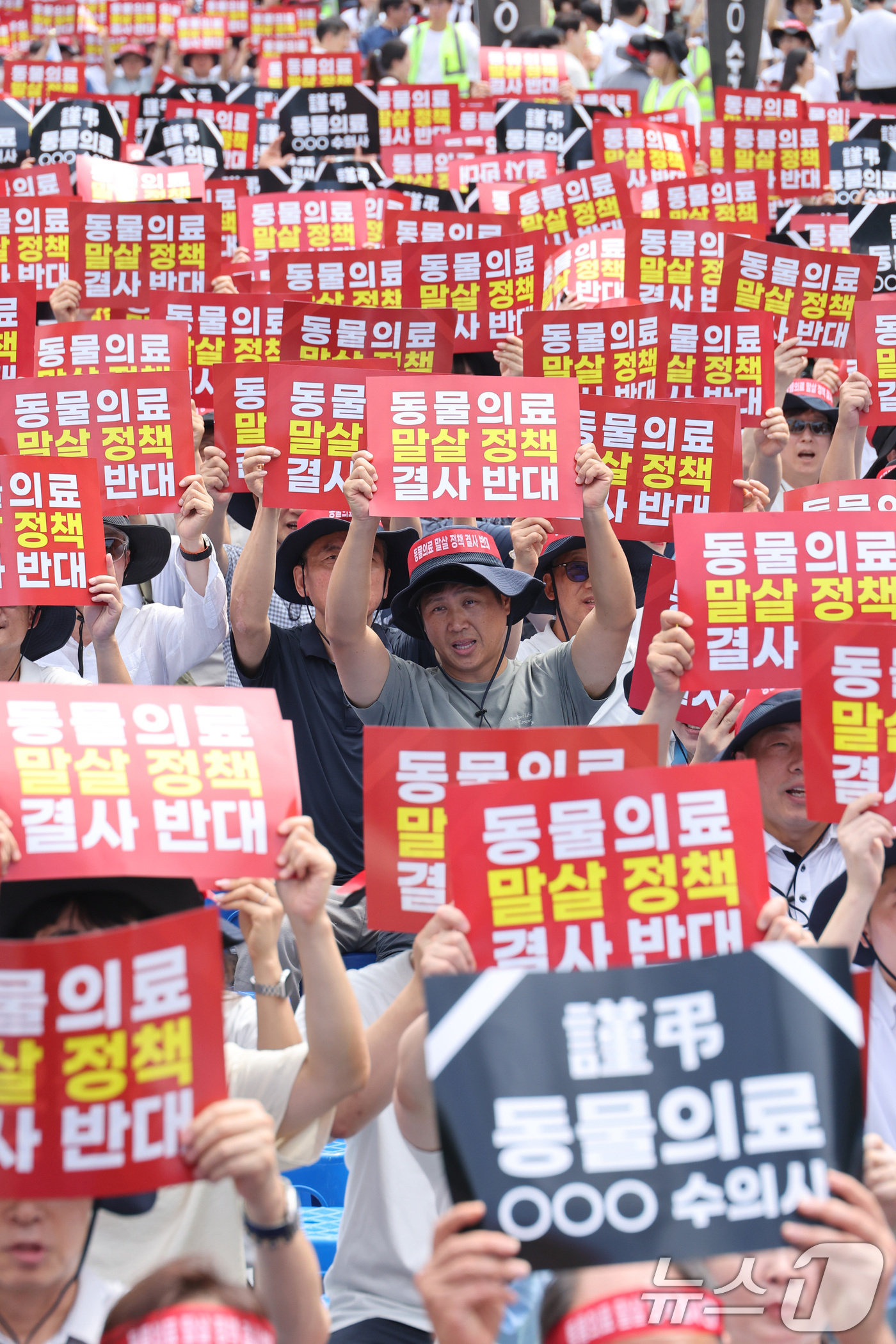 (서울=뉴스1) 신웅수 기자 = 대한수의사회 회원들이 2일 서울 여의도 국회의사당 앞에서 열린 수의사법 개정안 반대 투쟁대회에서 구호를 외치고 있다. 2026.9.2/뉴스1