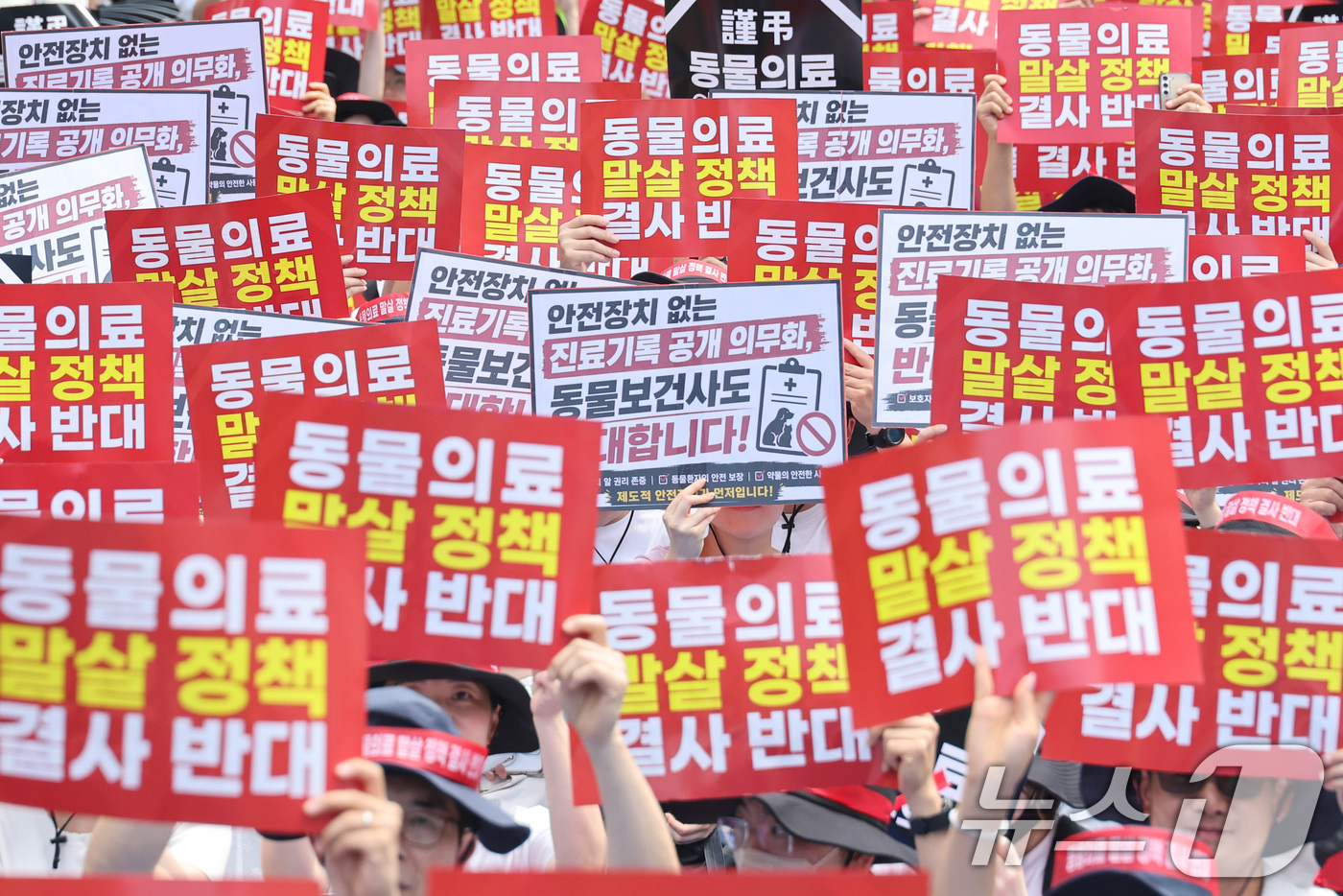 (서울=뉴스1) 신웅수 기자 = 대한수의사회 회원들이 2일 서울 여의도 국회의사당 앞에서 열린 수의사법 개정안 반대 투쟁대회에서 구호를 외치고 있다. 2026.9.2/뉴스1