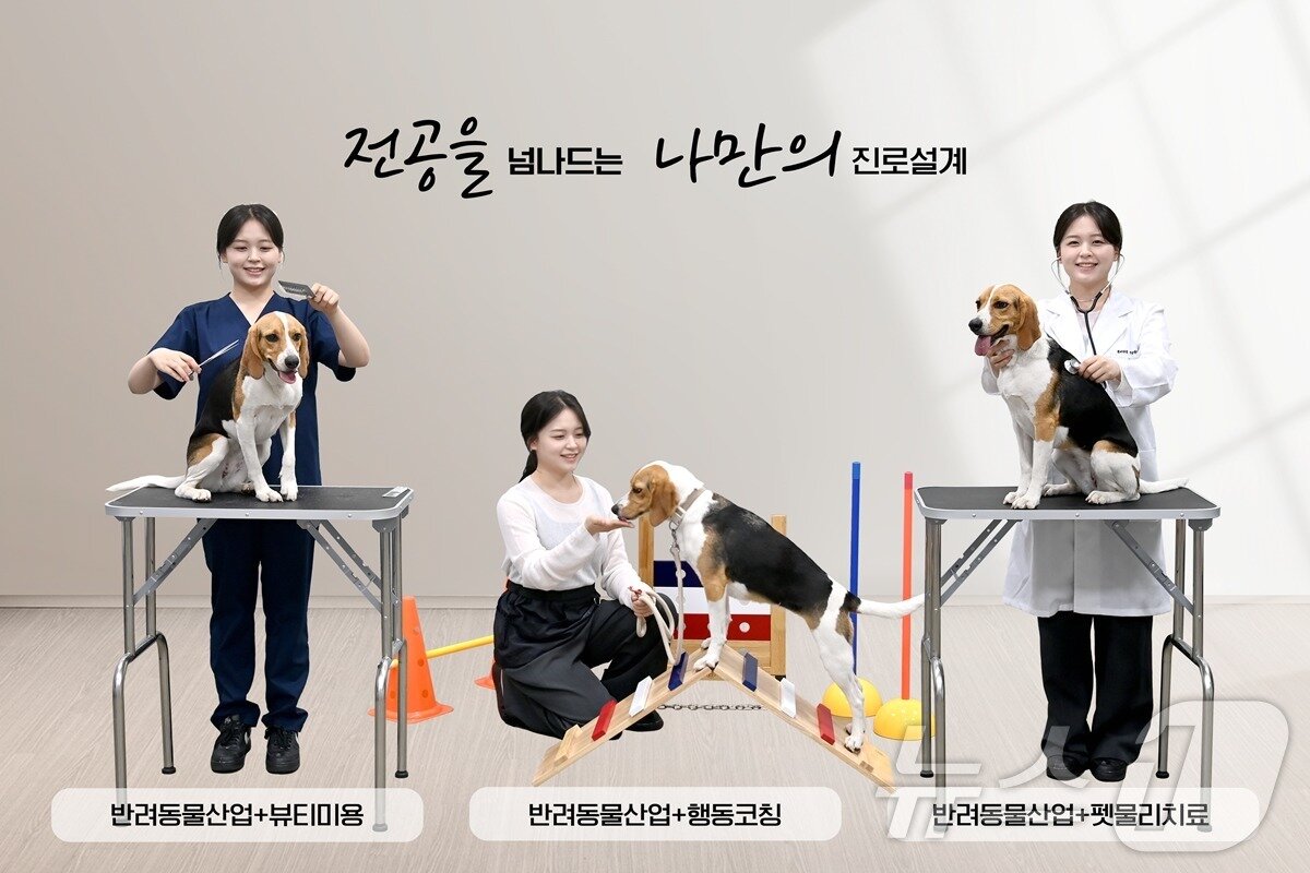 본문 이미지 - 호남대학교 학사제도개편 예시. 다중트랙 교육과정을 통해 주전공에 학과간 장벽을 뛰어넘은 다양한 부전공 접목으로 자신만의 학과 포트폴리오 작성이 가능하다.(호남대 제공. 재배포 및 DB 금지)