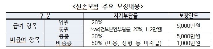 본문 이미지 - 실손보험 주요 보장내용(국무조정실 제공)
