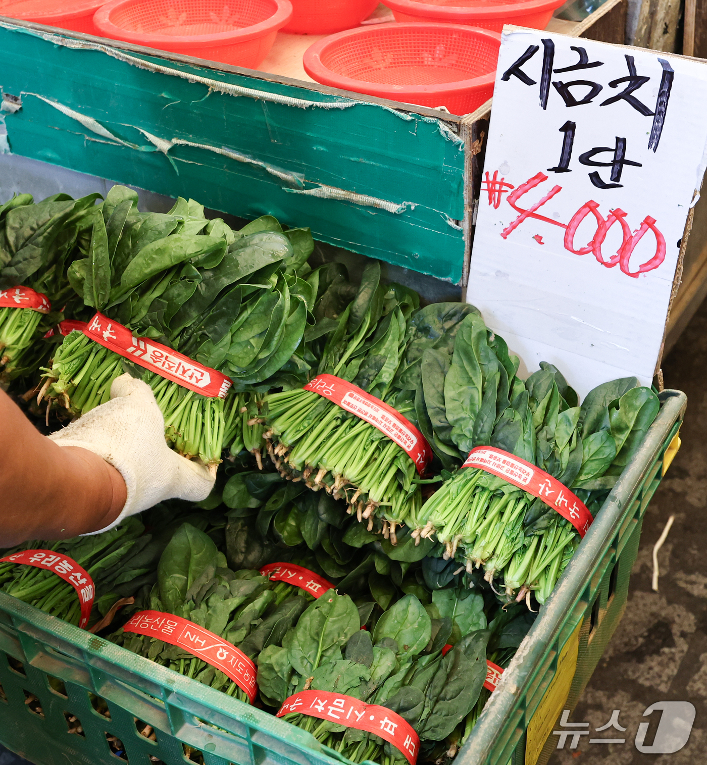 (서울=뉴스1) 최지환 기자 = 한국은행이 발표한 2026년 8월 생산자물가지수(잠정)에 따르면 시금치가 한 달 새 51.9% 상승하는 등 농산물 가격이 전월 대비 4.9% 뛰었다 …