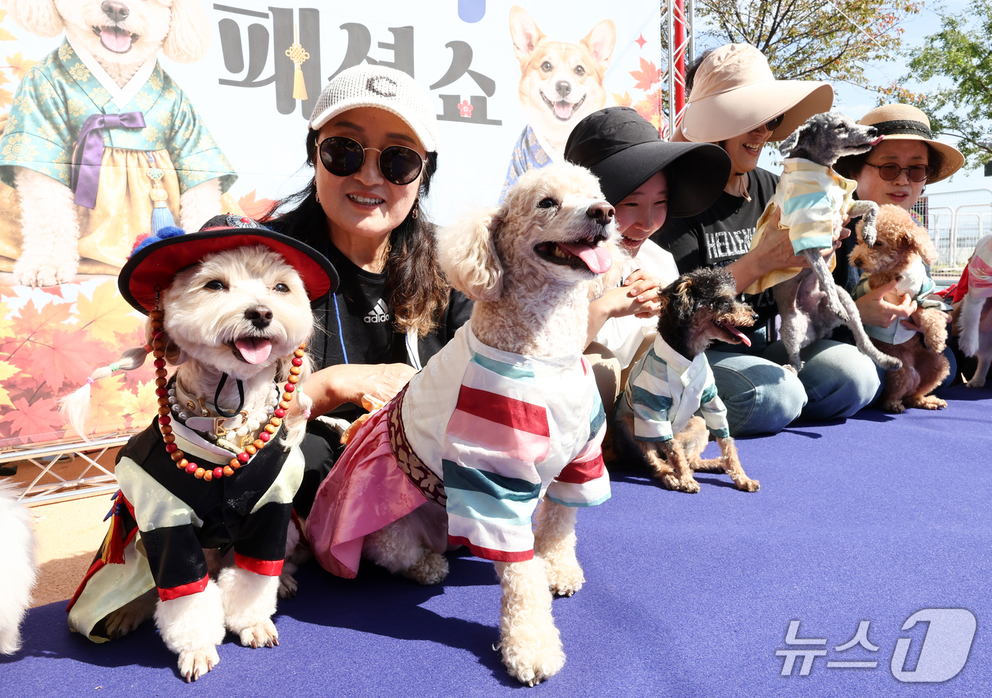 (서울=뉴스1) 최지환 기자 = 20일 오후 서울 마포구 마포 반려동물 캠핑장에서 열린 '한가위 맞이 댕댕이 한복 패션쇼'에서 시민들이 반려견과 함께 기념 촬영을 하고 있다. 20 …