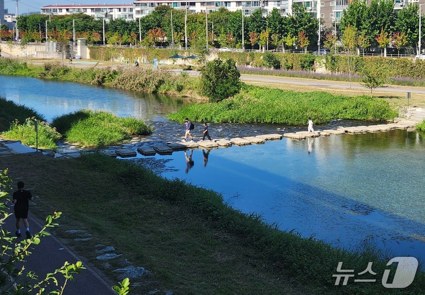 본문 이미지 - 20일 강원 춘천 퇴계천 산책로에는 자전거를 타거나 러닝을 즐기는 시문, 가볍게 산책에 나선 이들의 발길이 이어졌다. 2026.9.20/뉴스1 이종재기자