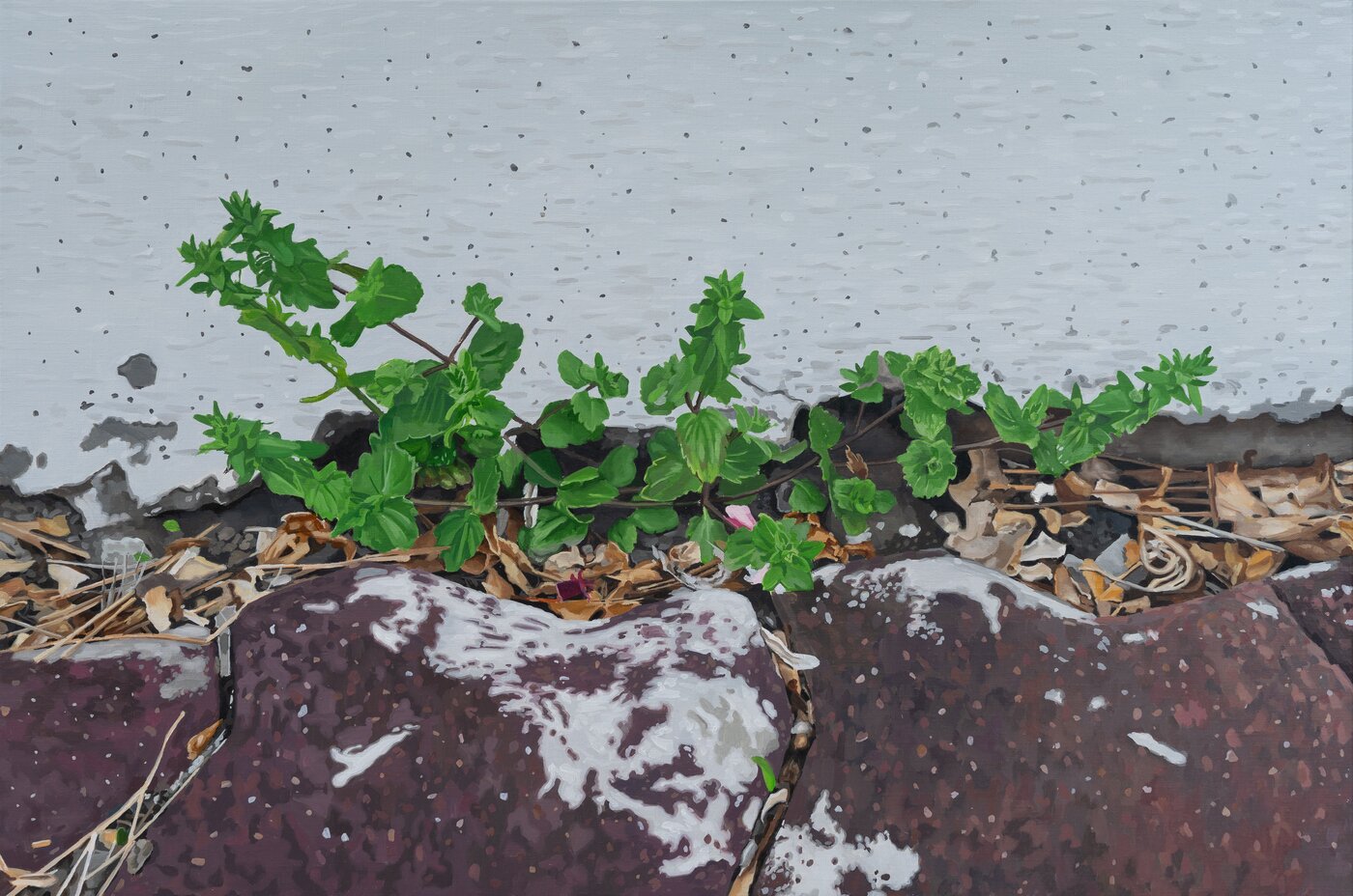 본문 이미지 - 황태하, 틈, 90.9x60.6cm, oil on canvas, 2026 (갤러리지지향 제공)