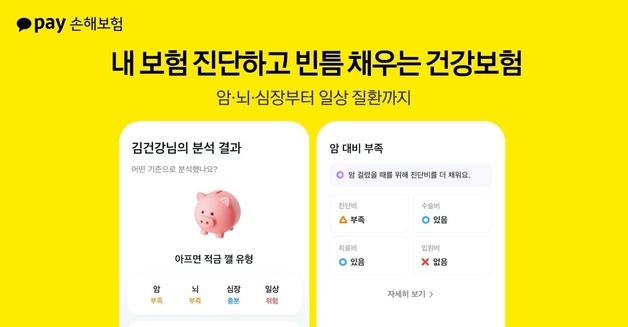 내 보험 부족한 보장 찾아준다…카카오페이손보, 건강보험 개정