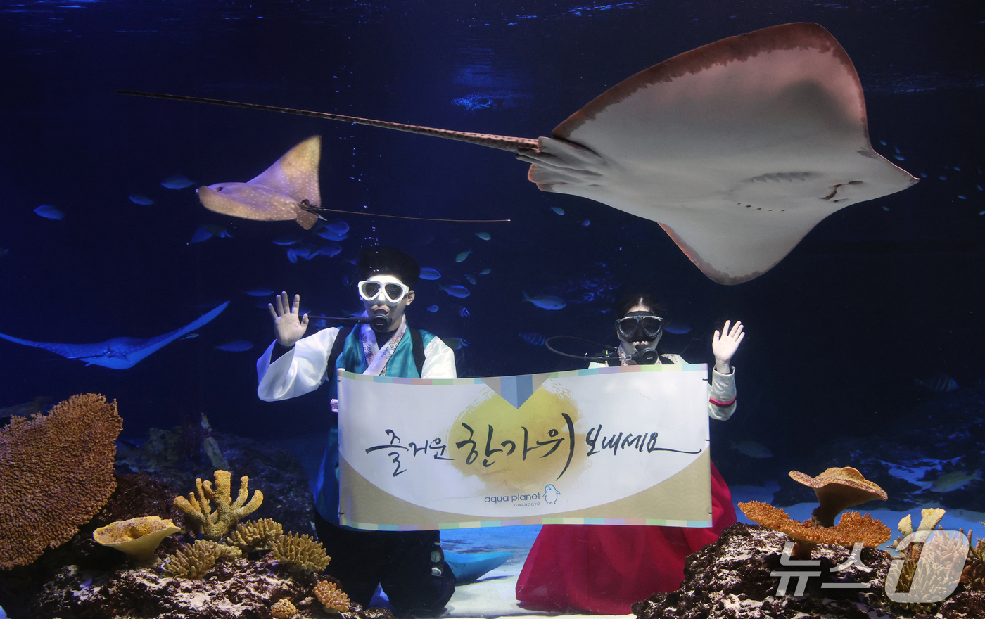 (수원=뉴스1) 김영운 기자 = 추석 명절을 앞둔 21일 경기 수원시 영통구 아쿠아플라넷 광교에서 한복을 입은 아쿠아리스트들이 추석 명절 인사를 하고 있다. 2026.9.21/뉴스 …