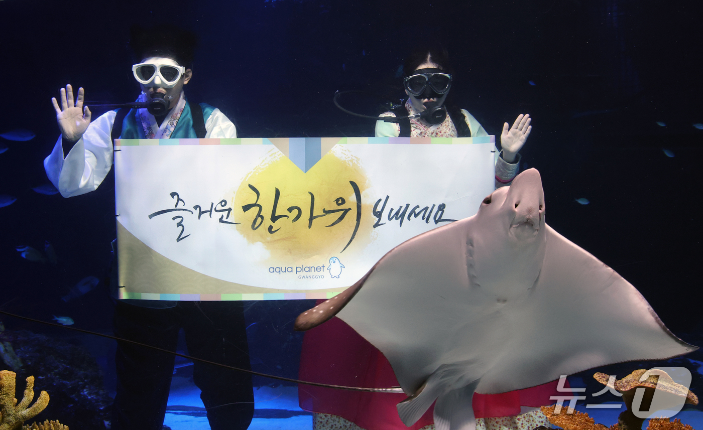 (수원=뉴스1) 김영운 기자 = 추석 명절을 앞둔 21일 경기 수원시 영통구 아쿠아플라넷 광교에서 한복을 입은 아쿠아리스트들이 추석 명절 인사를 하고 있다. 2026.9.21/뉴스 …