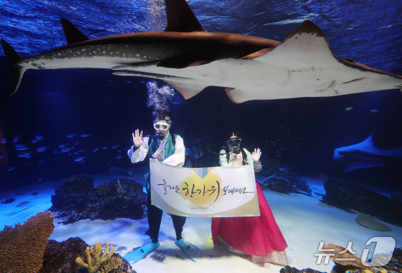 (수원=뉴스1) 김영운 기자 = 추석 명절을 앞둔 21일 경기 수원시 영통구 아쿠아플라넷 광교에서 한복을 입은 아쿠아리스트들이 추석 명절 인사를 하고 있다. 2026.9.21/뉴스 …