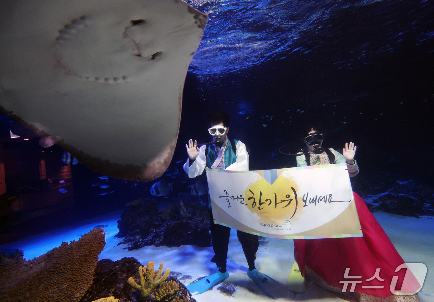 (수원=뉴스1) 김영운 기자 = 추석 명절을 앞둔 21일 경기 수원시 영통구 아쿠아플라넷 광교에서 한복을 입은 아쿠아리스트들이 추석 명절 인사를 하고 있다. 2026.9.21/뉴스 …
