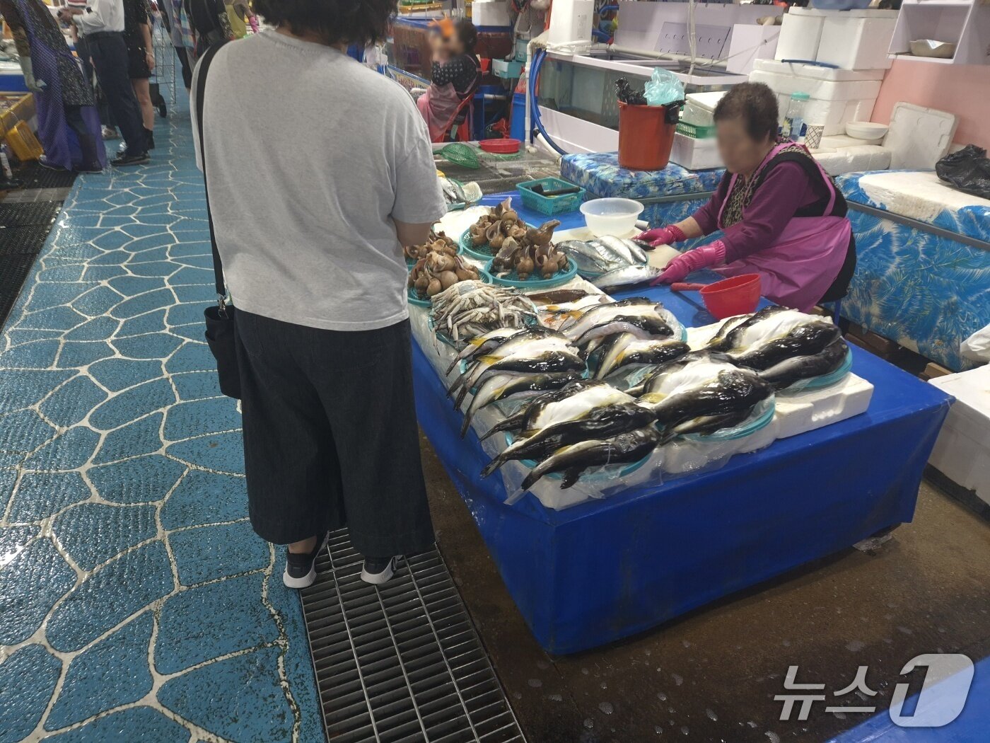 본문 이미지 - 추석을 사흘 앞둔 21일 강원 강릉 주문진항 수산시장을 찾은 한 시민이 생선을 고르고 있다.2026.9.21/뉴스1 윤왕근 기자