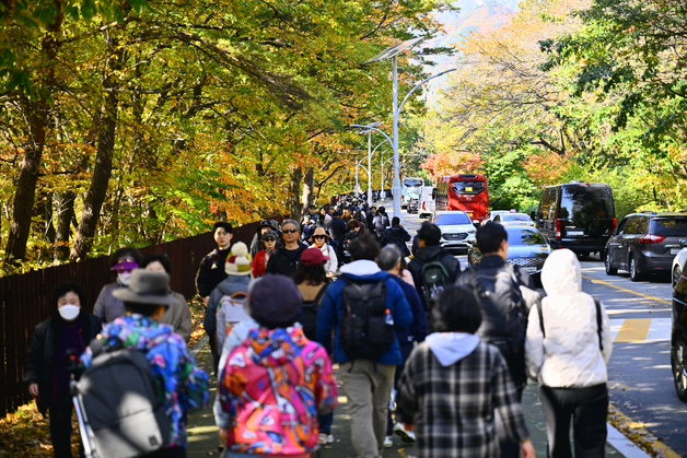속초시, 설악산 진입도로 1.6㎞ 확장 추진…쌍천 탐방로도 조성