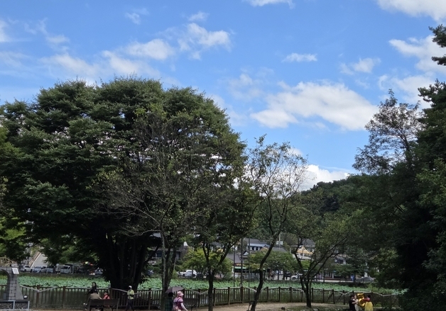 [오늘의 날씨] 세종·충북(22일, 화)…맑음, 낮 최고 27~28도