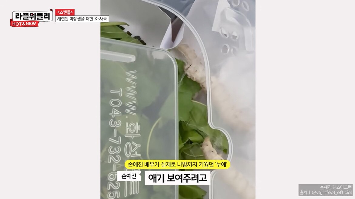 본문 이미지 - 사진=유튜브 채널 '라이프플러스 티비' 영상 갈무리