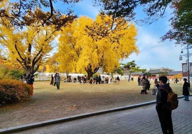 293쌍 신청에 16쌍서 28쌍으로…고궁박물관 야외 결혼식 지원
