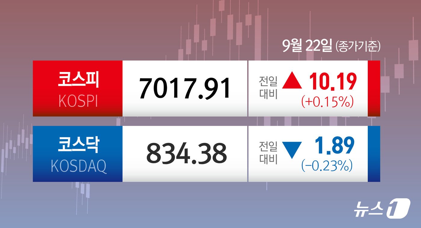 본문 이미지 -  ⓒ 뉴스1 김지영 디자이너