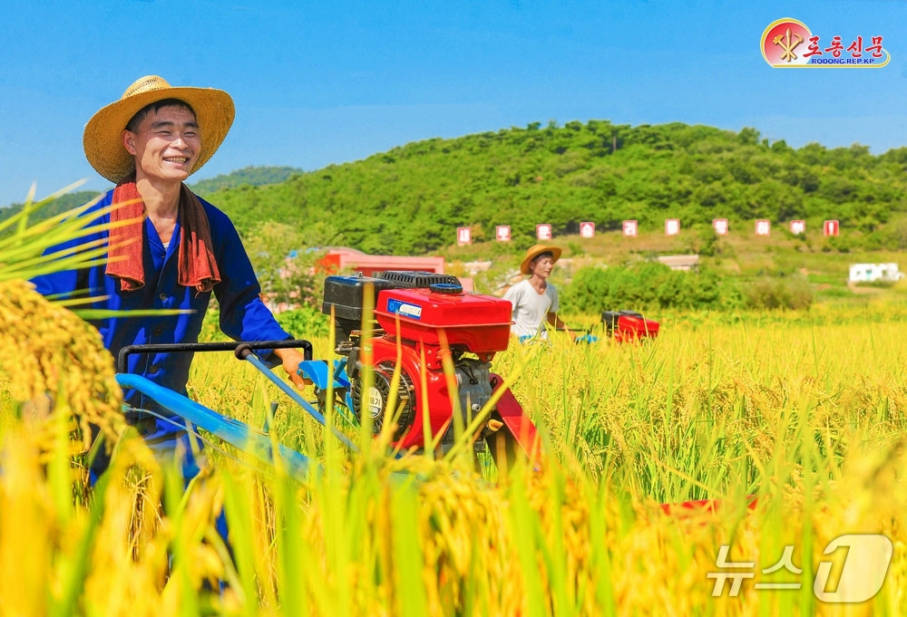 (평양 노동신문=뉴스1) = 북한 노동당 기관지 노동신문은 23일 "각지 농촌에서 벼가을(추수)에 속속 진입, 시작부터 기세를 올리며 일정계획을 차질 없이 수행 중이다"라고 보도했 …