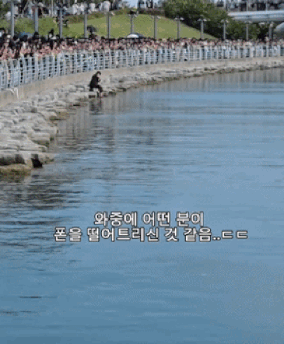 부산서 상어 찍다 휴대전화 '풍덩'…들어가 건지자마자 출몰 '아찔'[영상]