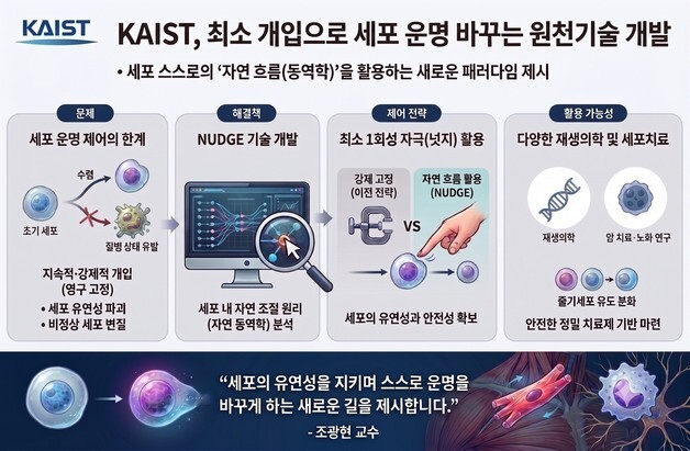 유전자 조작 없이 자극 한번으로 '세포 제어'…치료·재생의학 활용도 ↑