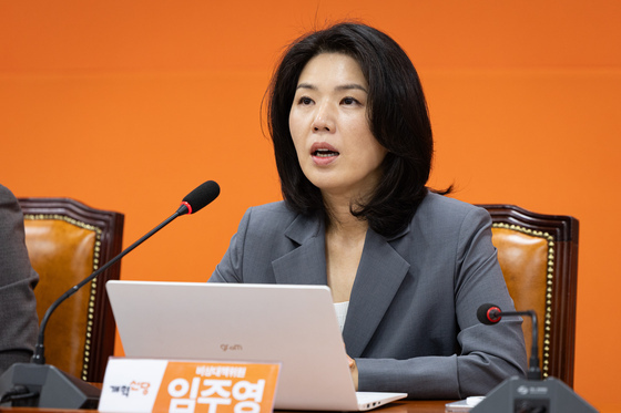발언하는 임주영 개혁신당 비상대책위원