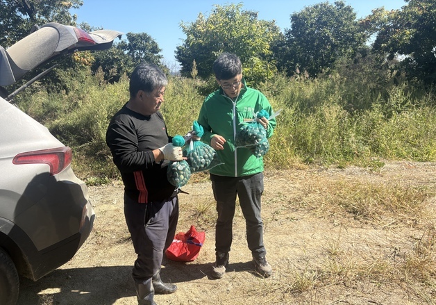 "밤 줍고 임산물 사고"…동부산림청장, 임가 찾아 추석 일손 보태