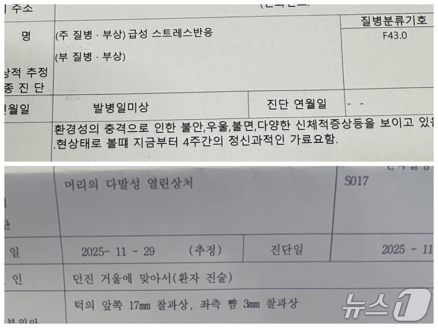본문 이미지 - 피해자 측 진단 결과(독자 제공. 재판매 및 DB 금지)2026.9.23/뉴스1