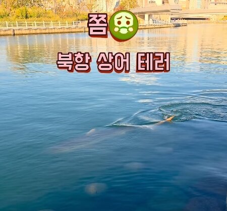 본문 이미지 - SNS