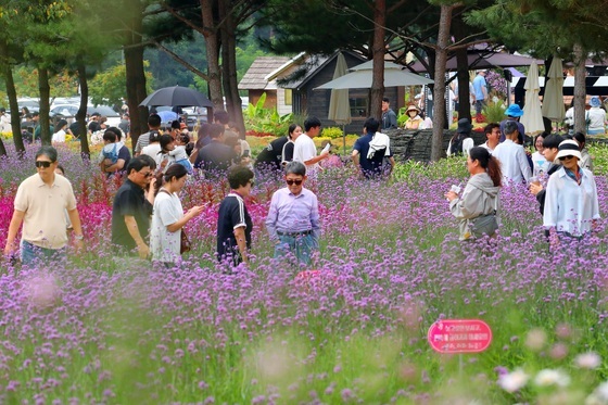 "명산탐방+꽃축제+귀성객"…강원 추석 연휴 첫 날부터 특수(종합)