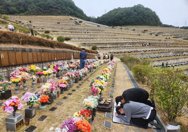 "조상님, 저희 왔어요" 성묘객 북적…강릉 관광객 손엔 닭강정