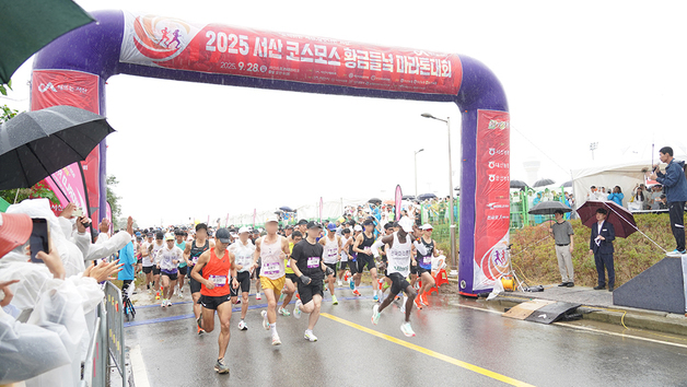 서산 코스모스 황금들녘 마라톤대회 7000여명 달린다