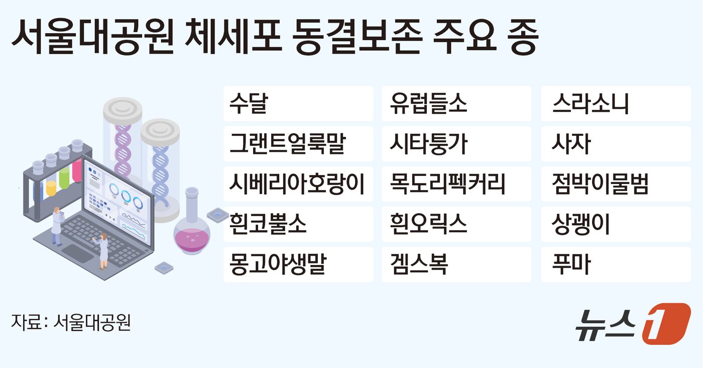 본문 이미지 - ⓒ 뉴스1 김초희 디자이너