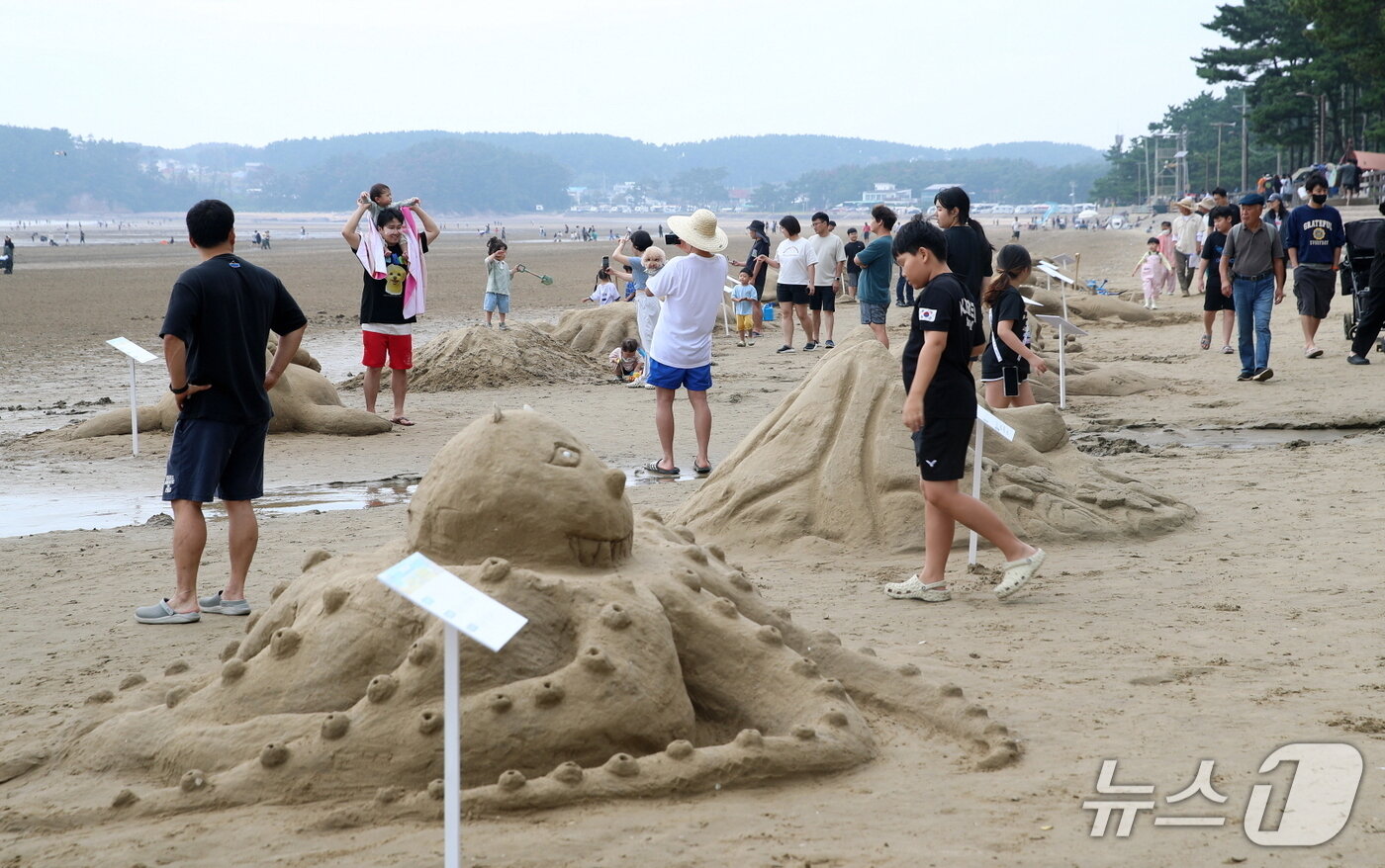 본문 이미지 - 지난해 열린 제21회 태안 모래조각 힐링페스타에서 관람객들이 몽산포 해변에 조성된 다양한 모래조각 작품을 둘러보고 있다.(태안군 제공. 재판매 및 DB 금지)