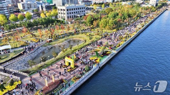 '국화, 가을바다를 품다'…마산가고파국화축제 내달 31일 개막